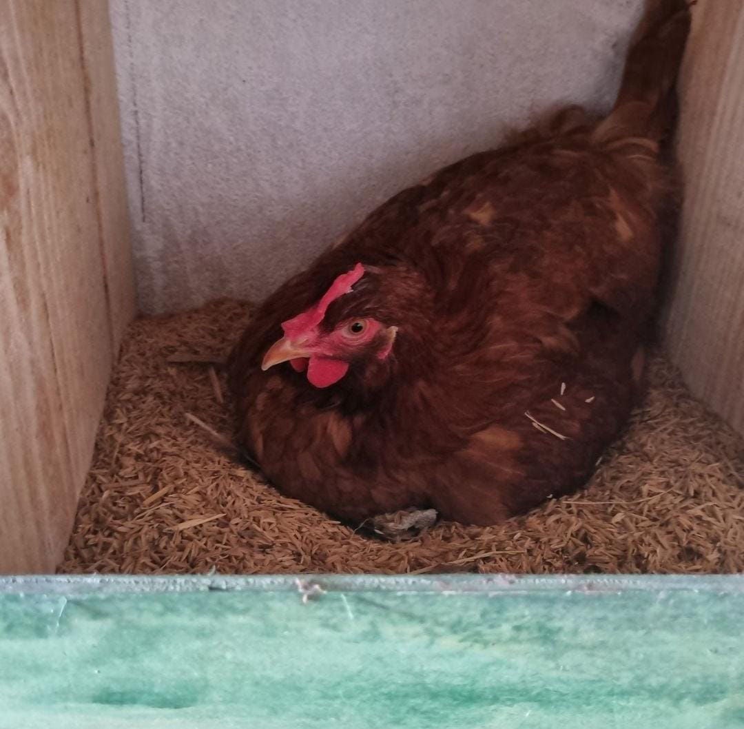 Ultimate Cheat Mod Improved2 Paradox Mods