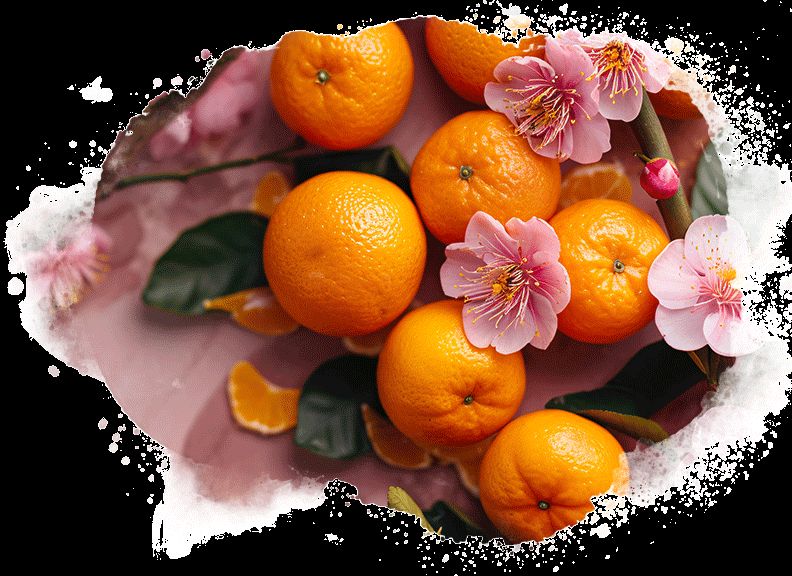 Example Mod Types - Paradox Mods